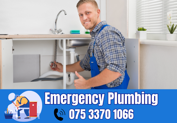  plumber Cobham
