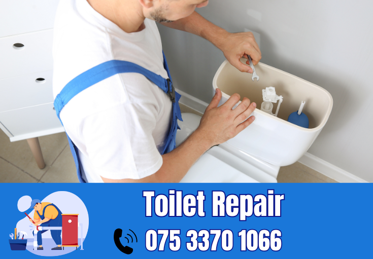 toilet repair Higham